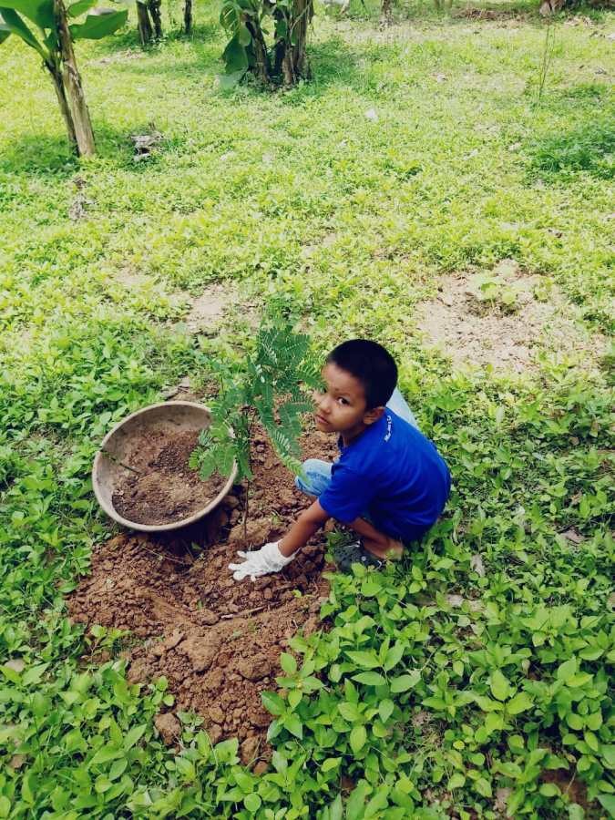 DMI St Joseph Global School observed World Environment Day on June 5. Students actively took part in planting saplings, making posters, collage making, depicting the flora and fauna of Nagaland, collecting and learning the names of plants and animals available at home, farm along with their scientific names and their importance. They also participated in art and craft activities with waste material and dried leaves and things. The celebration was coordinated and conducted by the Social Science Department of the School. (Photo Courtesy: DMI St Joseph Global School)